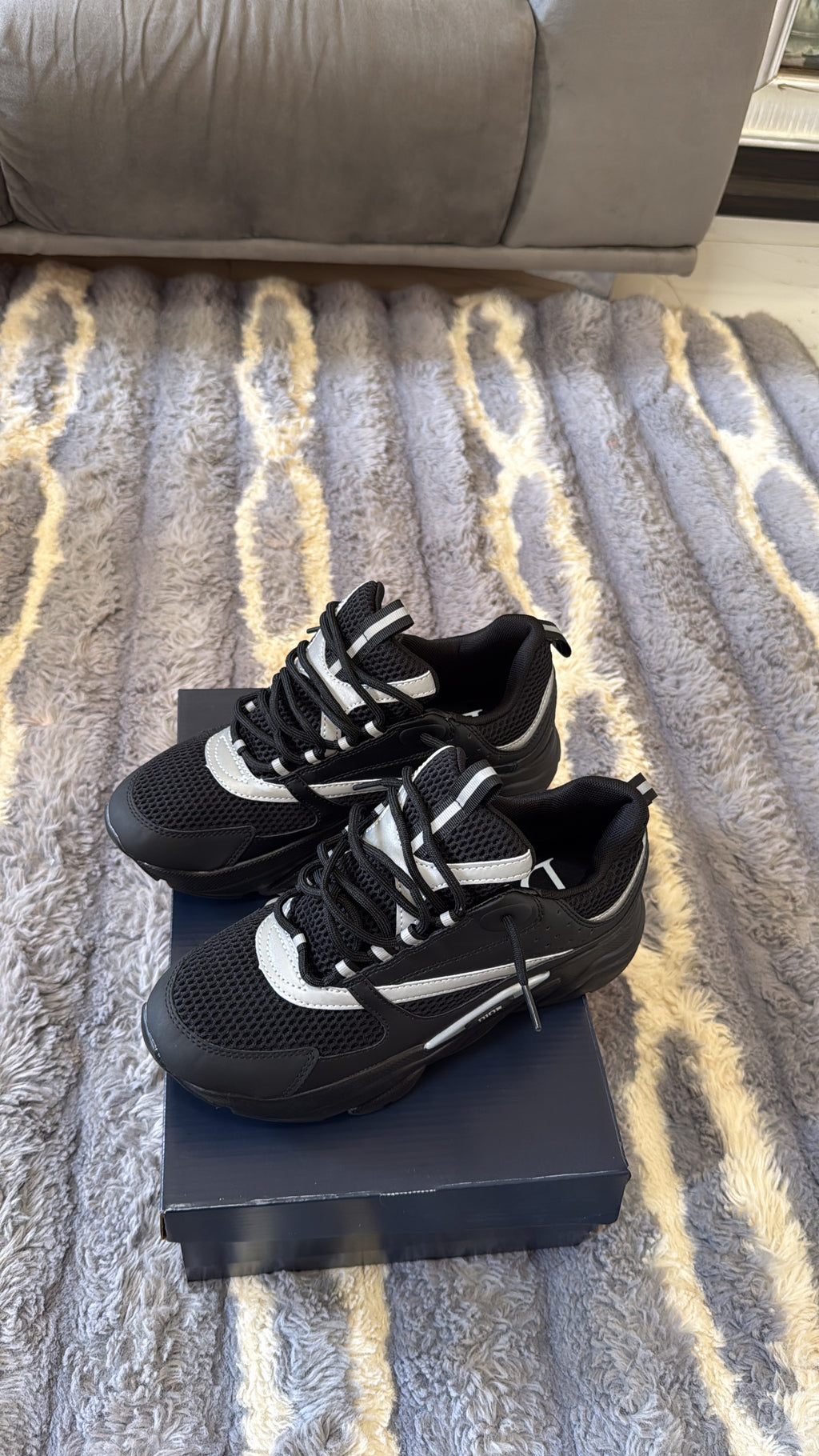 Dior B22 noir