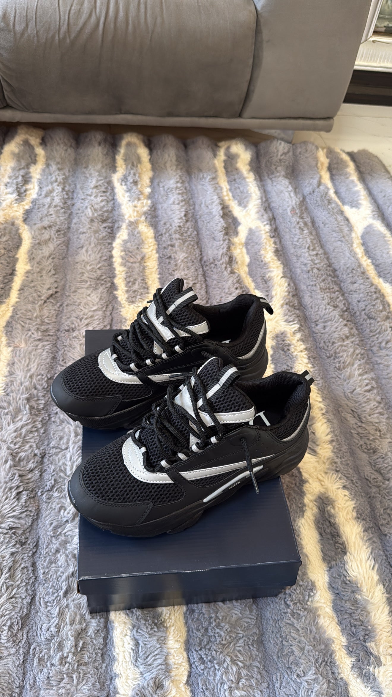 Dior B22 noir