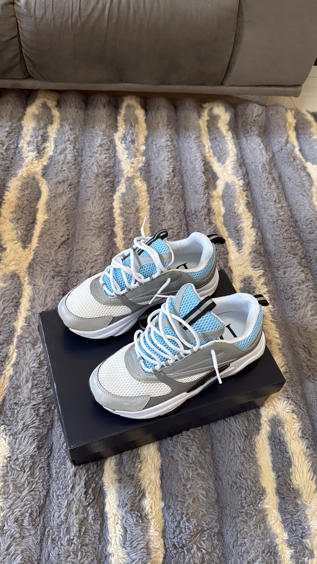 Dior b22 bleu